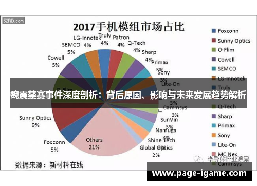 魏震禁赛事件深度剖析：背后原因、影响与未来发展趋势解析