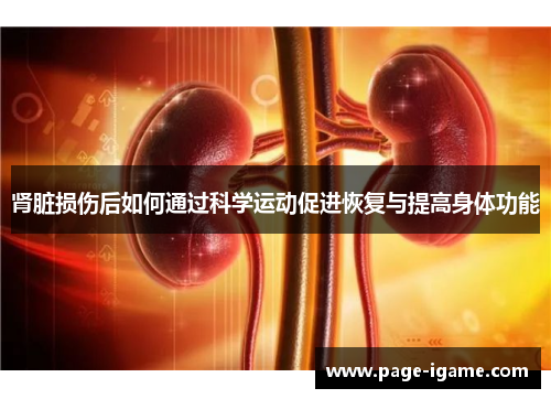 肾脏损伤后如何通过科学运动促进恢复与提高身体功能