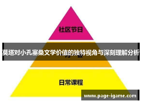 莫塔对小孔塞桑文学价值的独特视角与深刻理解分析