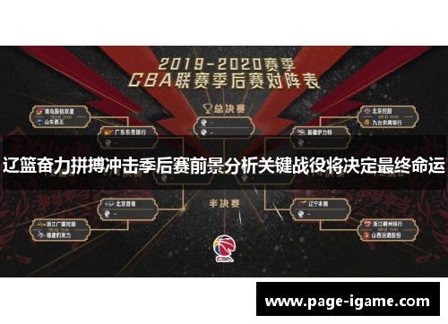 辽篮奋力拼搏冲击季后赛前景分析关键战役将决定最终命运