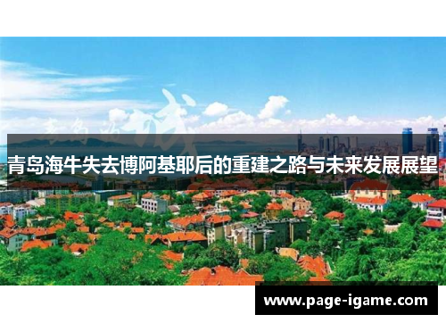 青岛海牛失去博阿基耶后的重建之路与未来发展展望 青岛海牛失去博阿基耶后的重建之路与未来发展展望