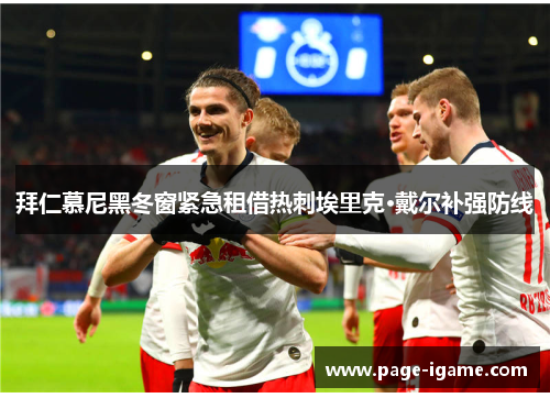 拜仁慕尼黑冬窗紧急租借热刺埃里克·戴尔补强防线 拜仁慕尼黑冬窗紧急租借热刺埃里克·戴尔补强防线